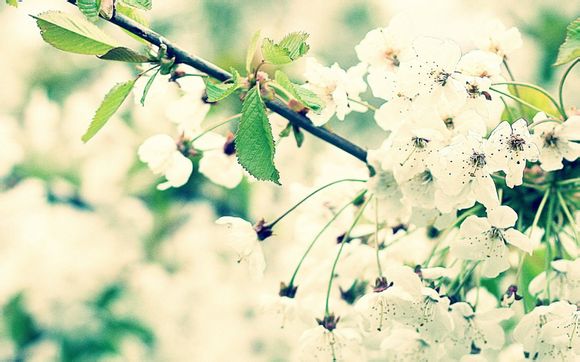 梦见别人破钱怎么办