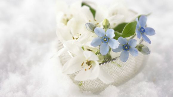 梦见甘草意味着什么