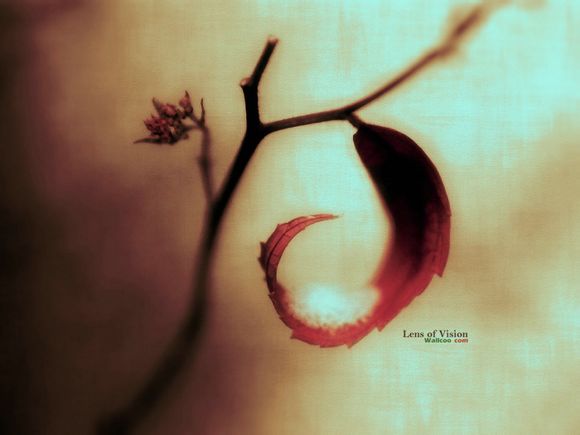 一不小心梦见你怎么办