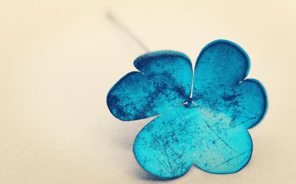 梦见栽种梅花什么意思