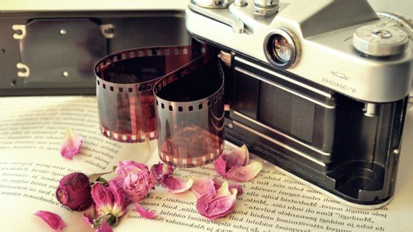 梦见飞虫死了怎么办