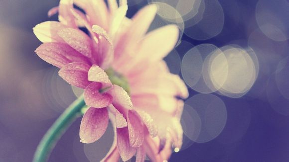 爸爸梦见胎停怎么回事啊