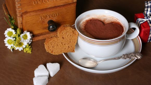 梦见狐狸进屋代表什么