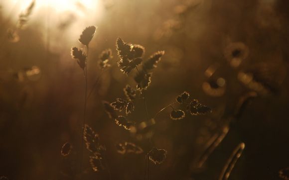 梦见别人卖猪肉代表什么