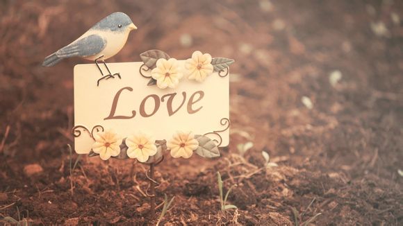 梦见死去的人梦见喂猪什么意思