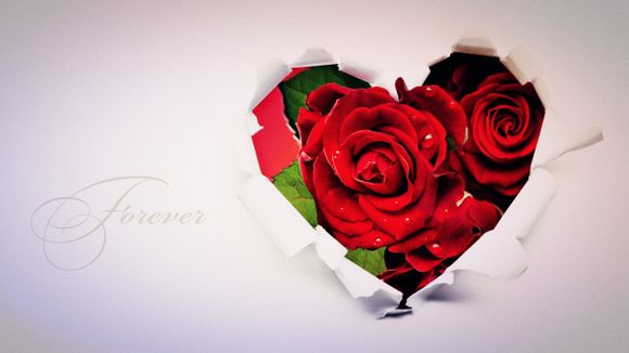 梦见收租金怎么处理