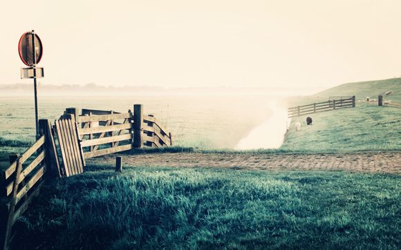 做梦梦见买水果还丢了怎么回事