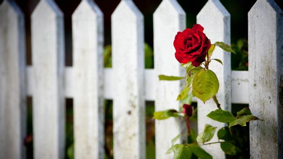 梦见你笑醒了用诗怎么说