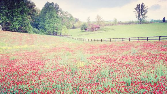 梦见谷仓里进水了怎么办
