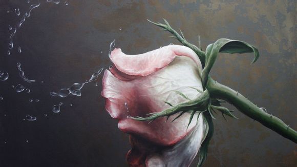 梦见小麦是怎么回事