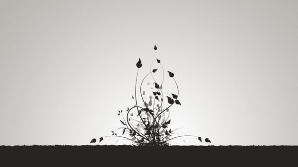 梦见佛像落地摔碎了怎么回事