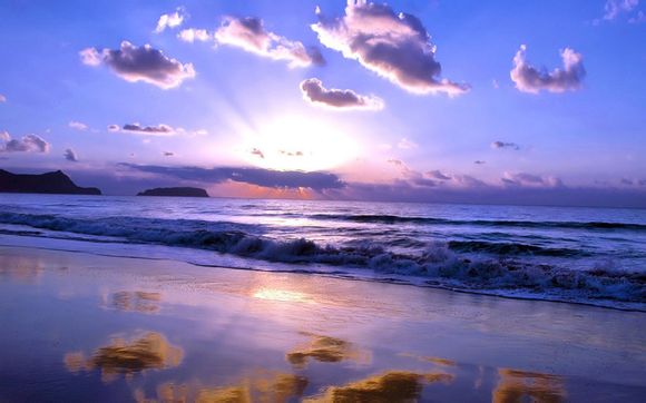 梦见撞死黑狗什么意思