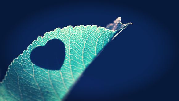 为什么会梦见被老鼠咬