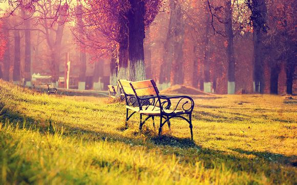 孕早期怎么会梦见墓地