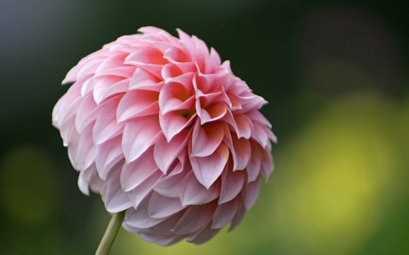 梦见没水无法洗衣服了怎么回事