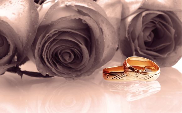 媳妇问我梦见她什么了