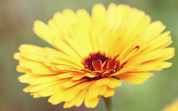 女儿梦见我出嫁什么意思