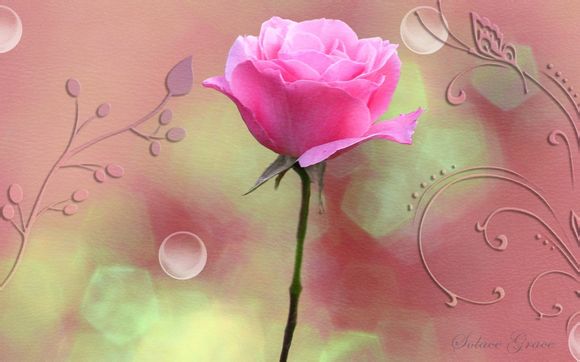 梦见狗咬是什么先兆