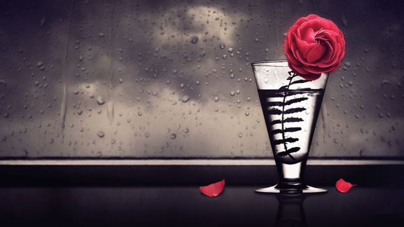 梦见很多藤萝什么预兆