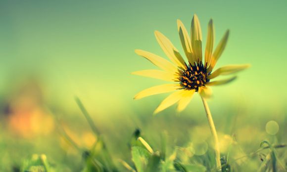 怎么突然间经常梦见过世的人